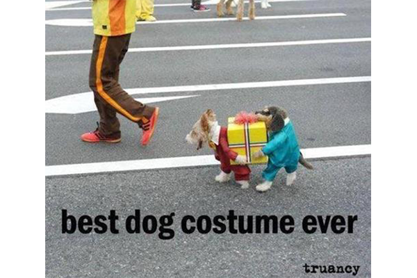 man with dog walking in a costume