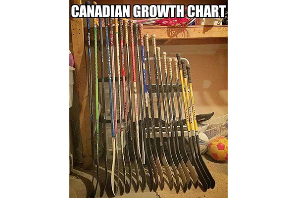 hockey sticks leaning against rack