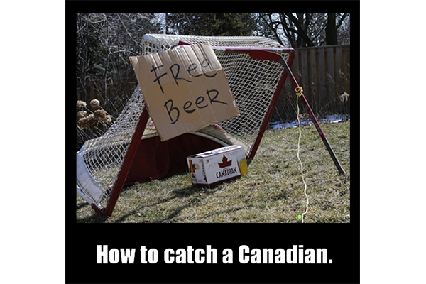 case of beer in hockey net